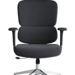 (FP-M,-30) Special Director Chair imported China