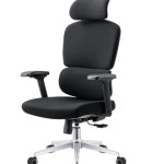 (FP-M,-30) Special Director Chair imported China