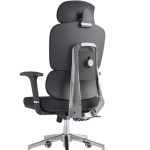 (FP-M,-30) Special Director Chair imported China