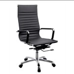 (FP-M-33-Ss) Director chair