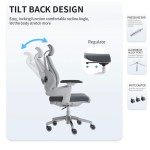 (FP-M-29-White)Director Chair